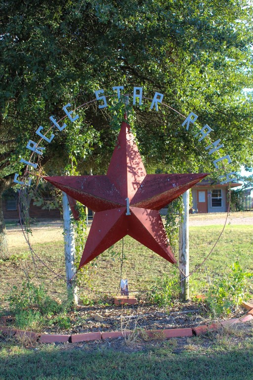 421 Farm To Market 845 Cameron, TX 76520 - Photo 33 of 37 a backyard of a house with lots of green space