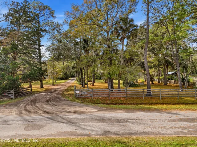 a view of a yard with large trees