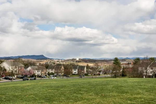a grassy field with trees in the background