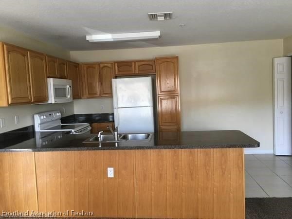 165 Amusing Avenue Avon Park, FL 33825 - Photo 2 of 11