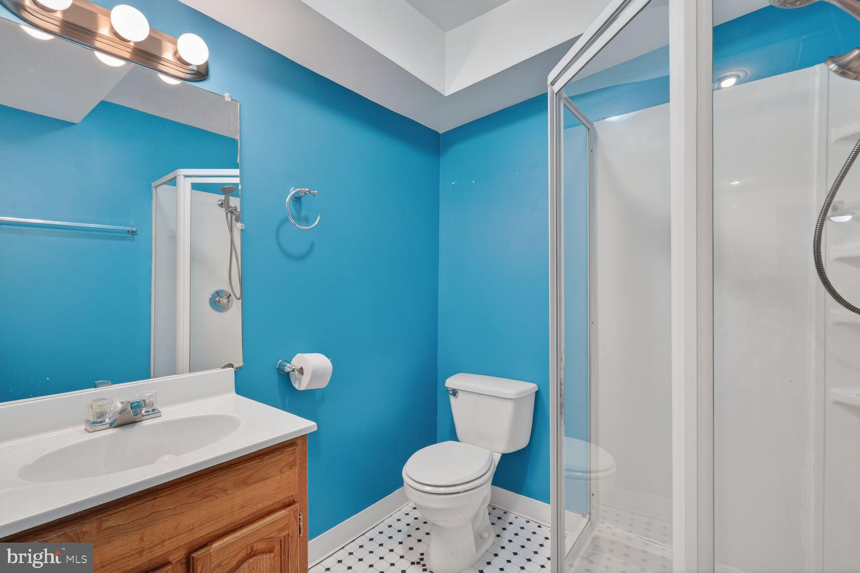 119 River Road Occoquan, VA 22125 - Photo 23 of 36 a bathroom with a sink a toilet and shower