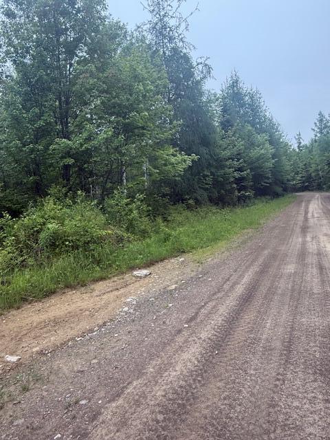 Lot #3 Pleine Road St. Agatha, ME 04772 - Photo 25 of 32
