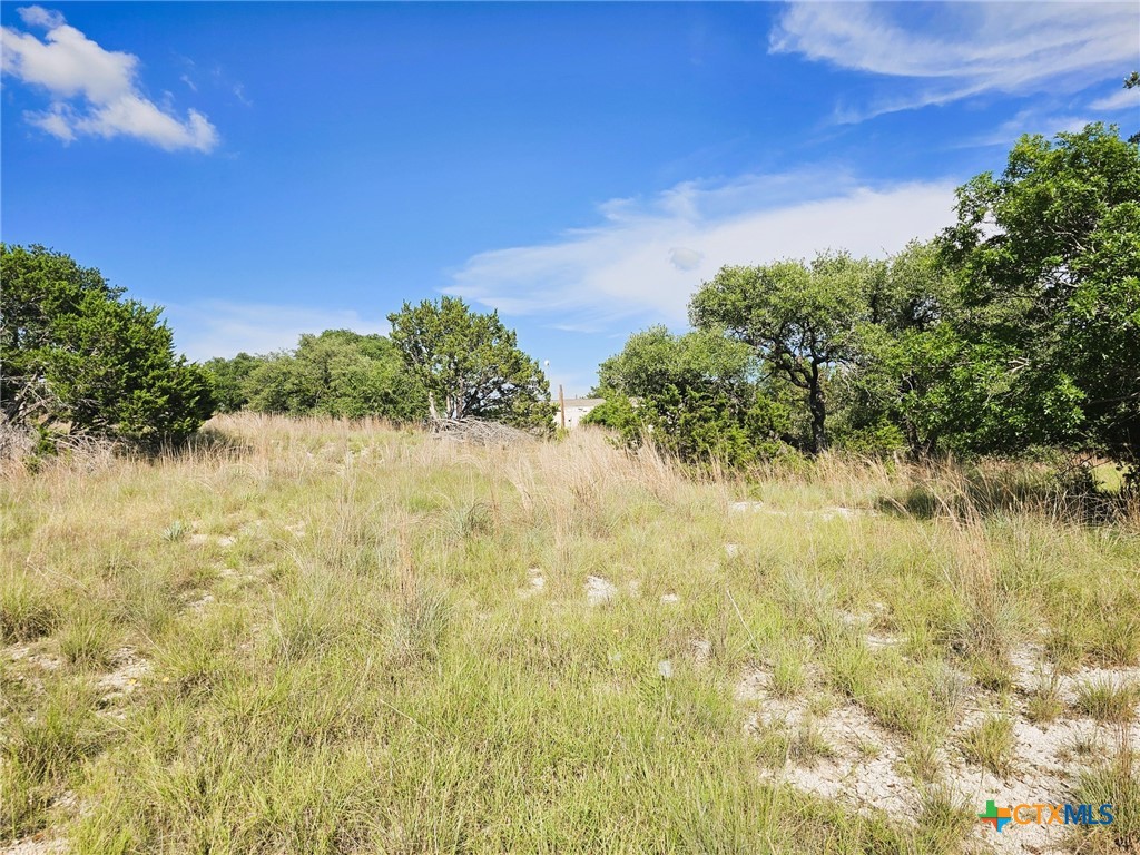100 Reavis Drive Kempner, TX 76539 - Photo 17 of 33