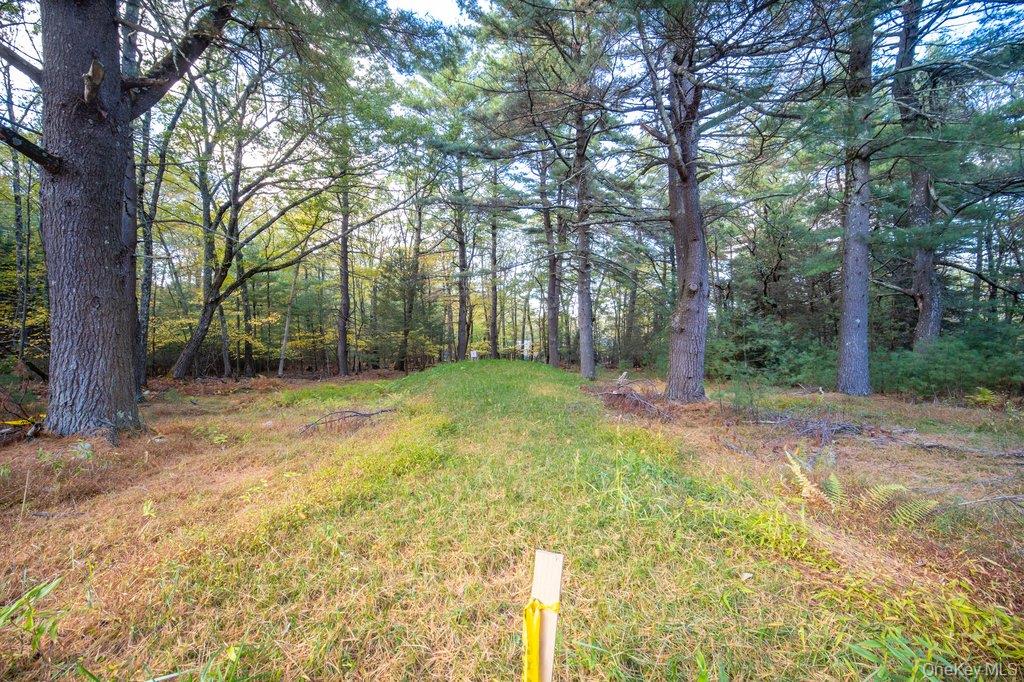 37 Little Road Wurtsboro, NY 12790 - Photo 24 of 24 a view of a yard with trees
