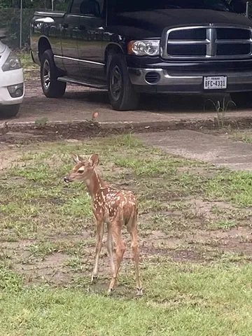 $299,900 | 15415 Thunder Road, Terrell, TX 75161