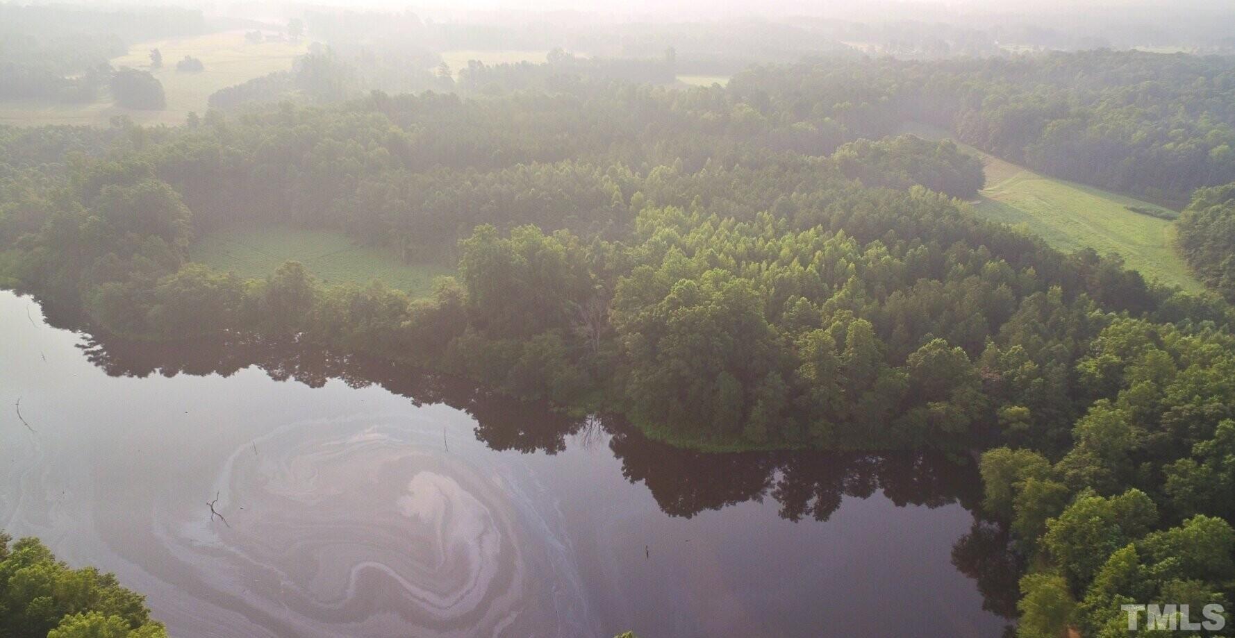 4097 Hall Rougemont, NC 27572 - Photo 11 of 12 a view of a lake in a forest