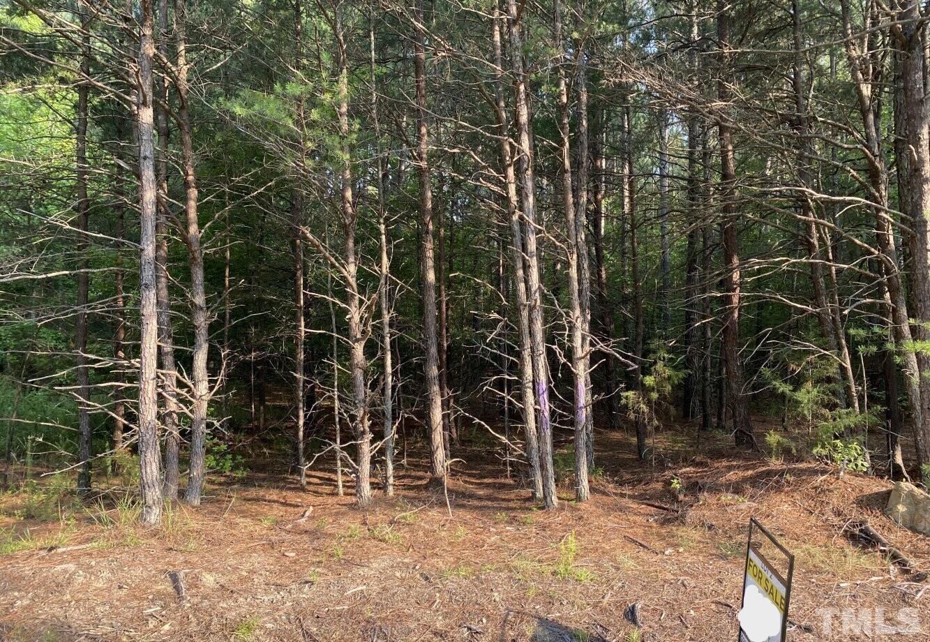 4097 Hall Rougemont, NC 27572 - Photo 6 of 12 a backyard of a house with lots of trees