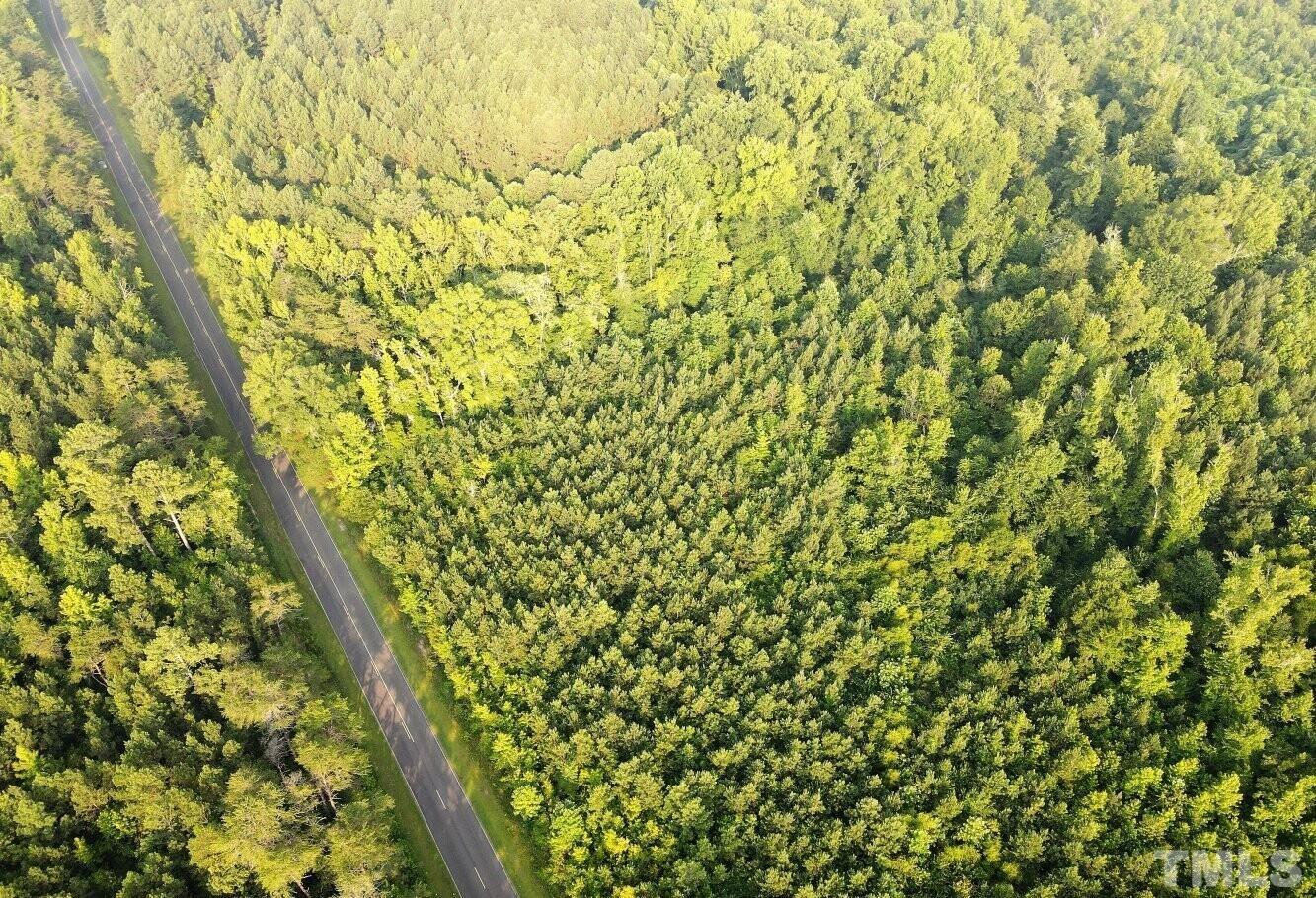 4097 Hall Rougemont, NC 27572 - Photo 7 of 12