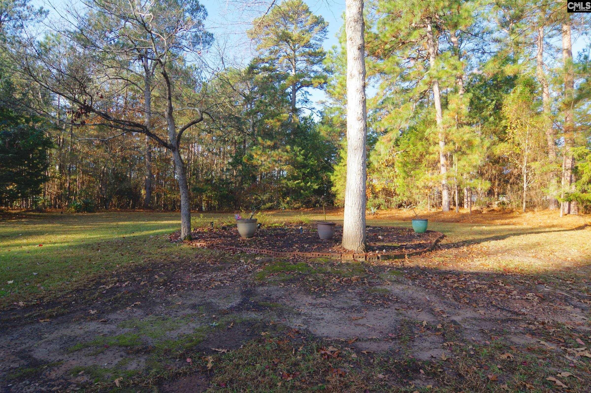 1331 Camping Road Gilbert, SC 29054 - Photo 29 of 40