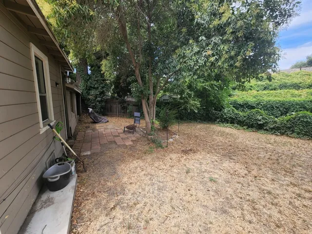 a view of a backyard with large trees