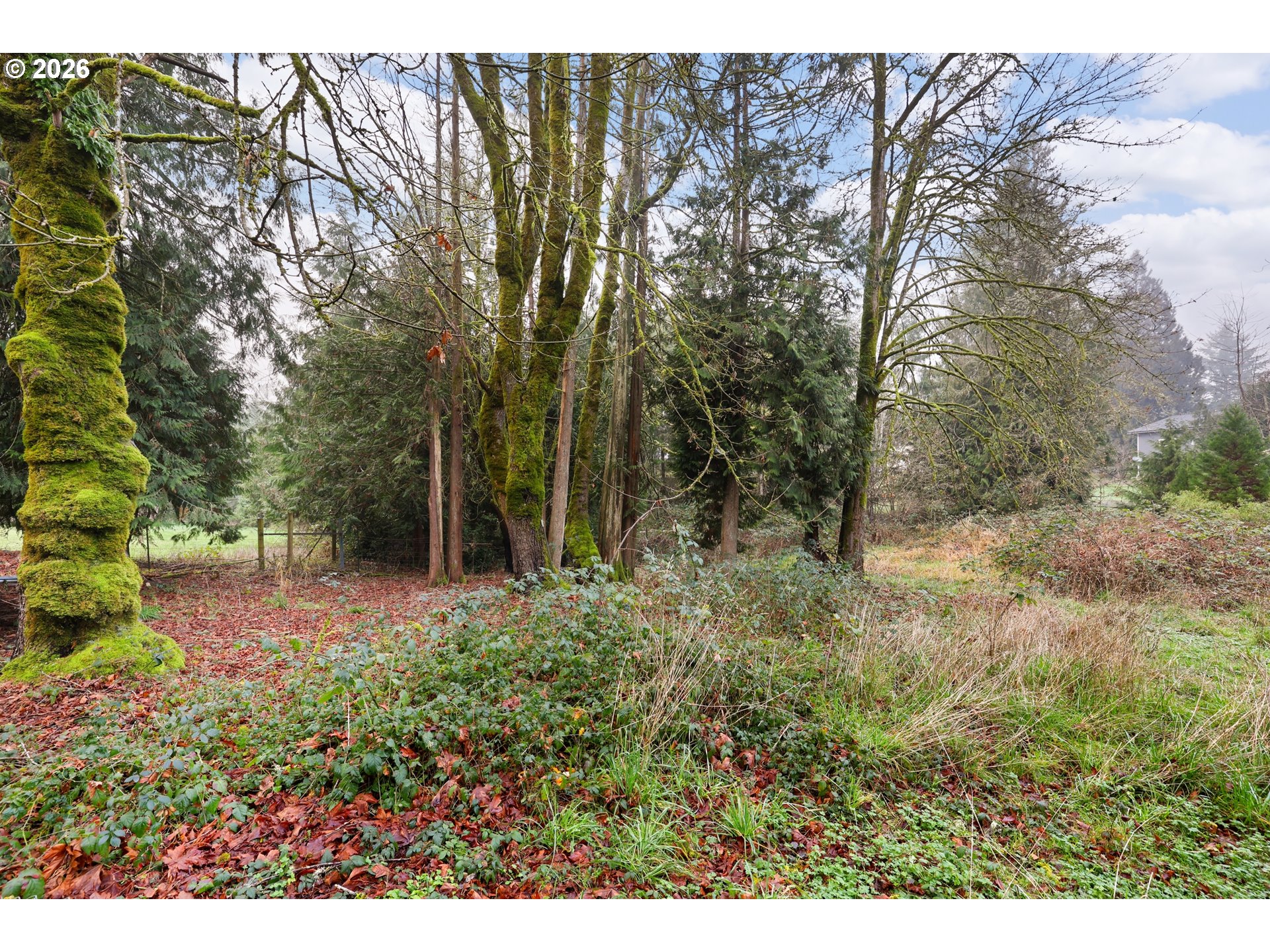 114 Shannon Lane Chehalis, WA 98532 - Photo 27 of 27 a view of backyard with green space