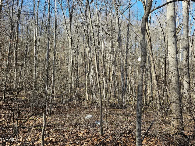 $14,500 | 0 Laguna Road, Pound, VA 24279