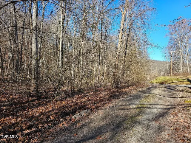 $14,500 | 0 Laguna Road, Pound, VA 24279