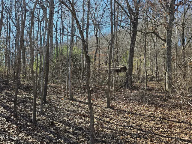 $14,500 | 0 Laguna Road, Pound, VA 24279