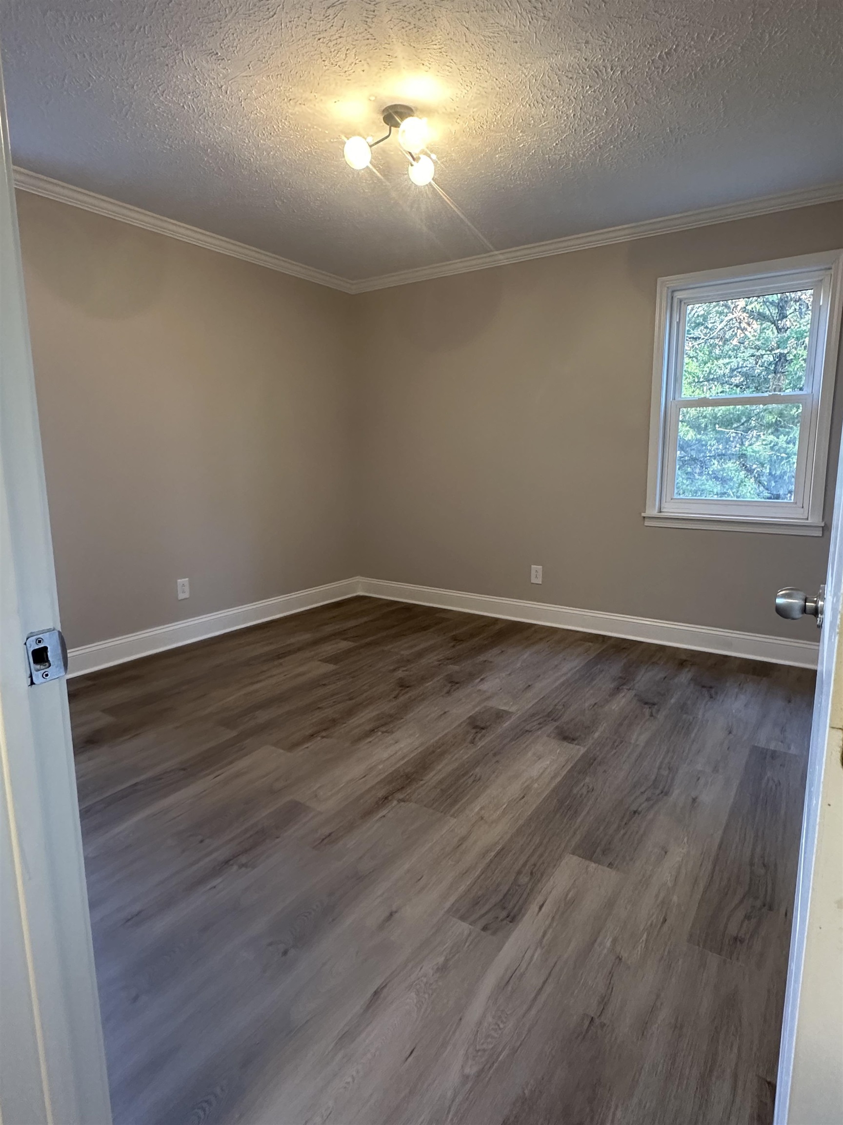 2224 Feddie Davis Road Ramer, TN 38367 - Photo 10 of 24 wooden floor in an empty room with a window