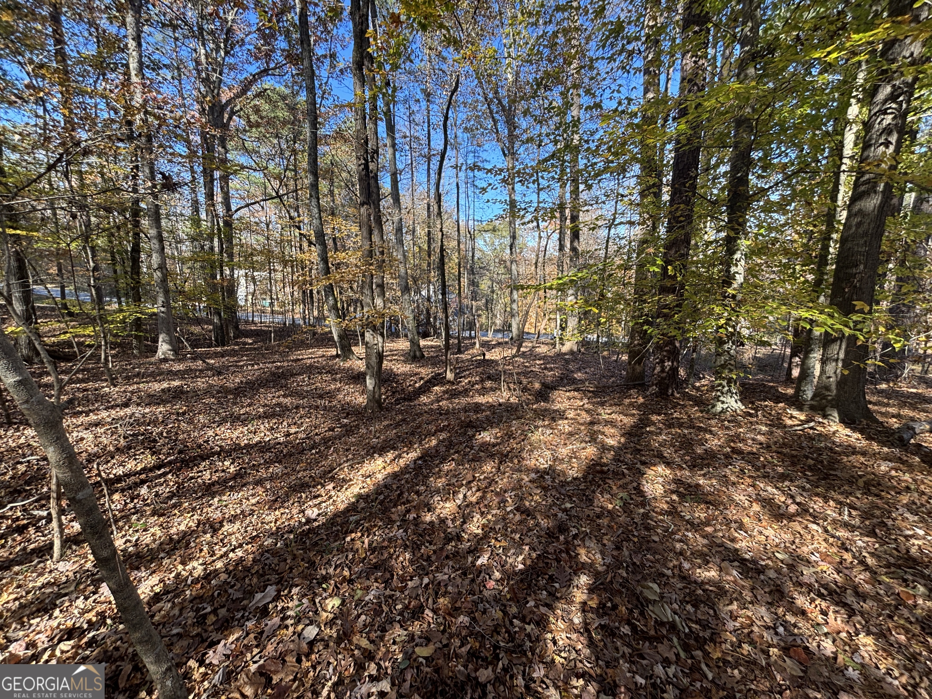 0 Heidi Trail Buckhead, GA 30625 - Photo 11 of 21 a backyard of a house with lots of green space