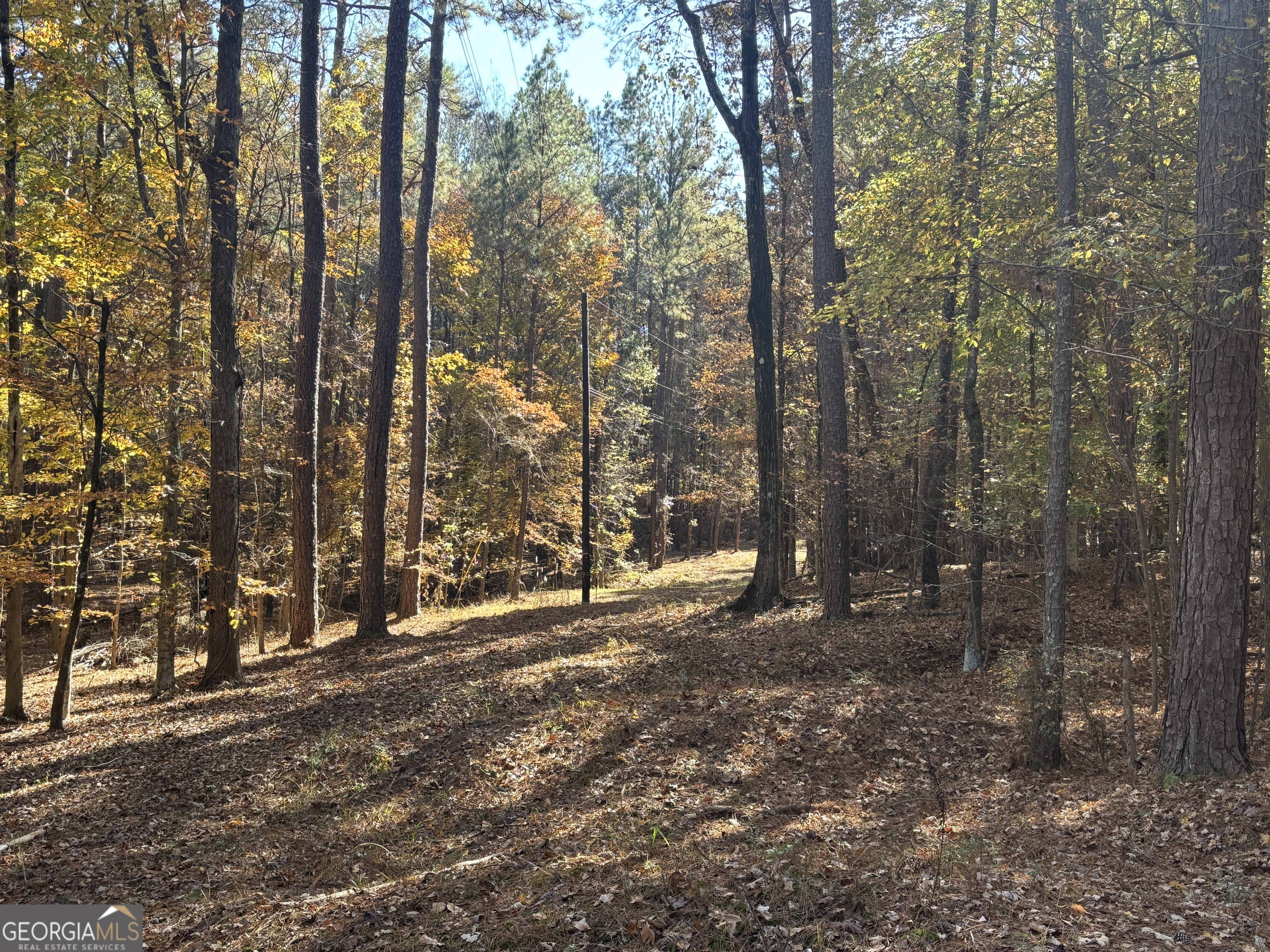 0 Heidi Trail Buckhead, GA 30625 - Photo 12 of 21 a view of outdoor space and trees