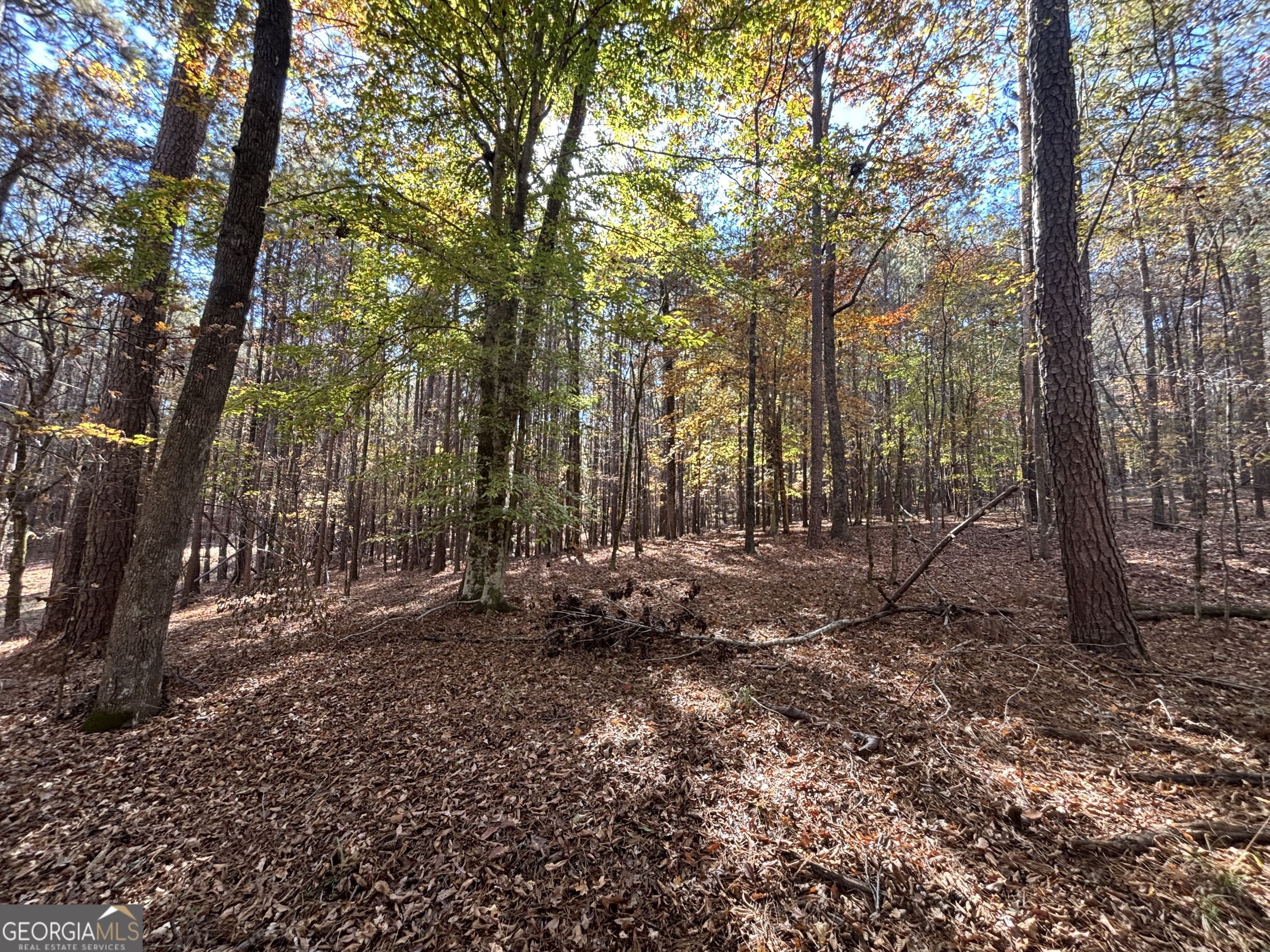 0 Heidi Trail Buckhead, GA 30625 - Photo 13 of 21 a backyard of a house with lots of green space