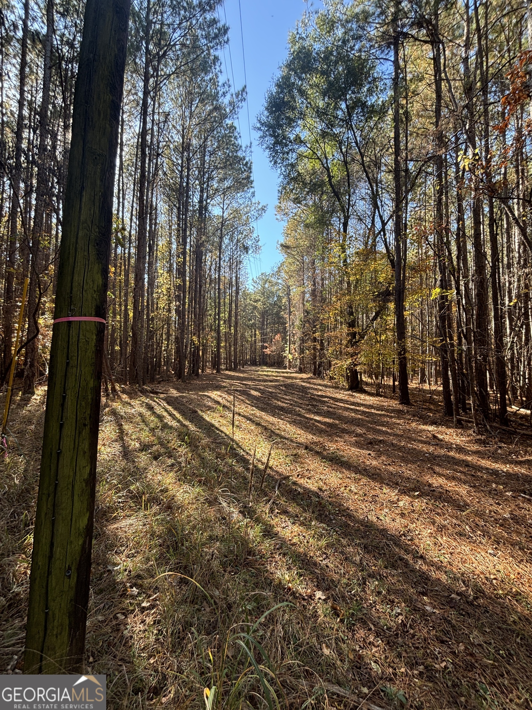 0 Heidi Trail Buckhead, GA 30625 - Photo 14 of 21 a view of road with trees