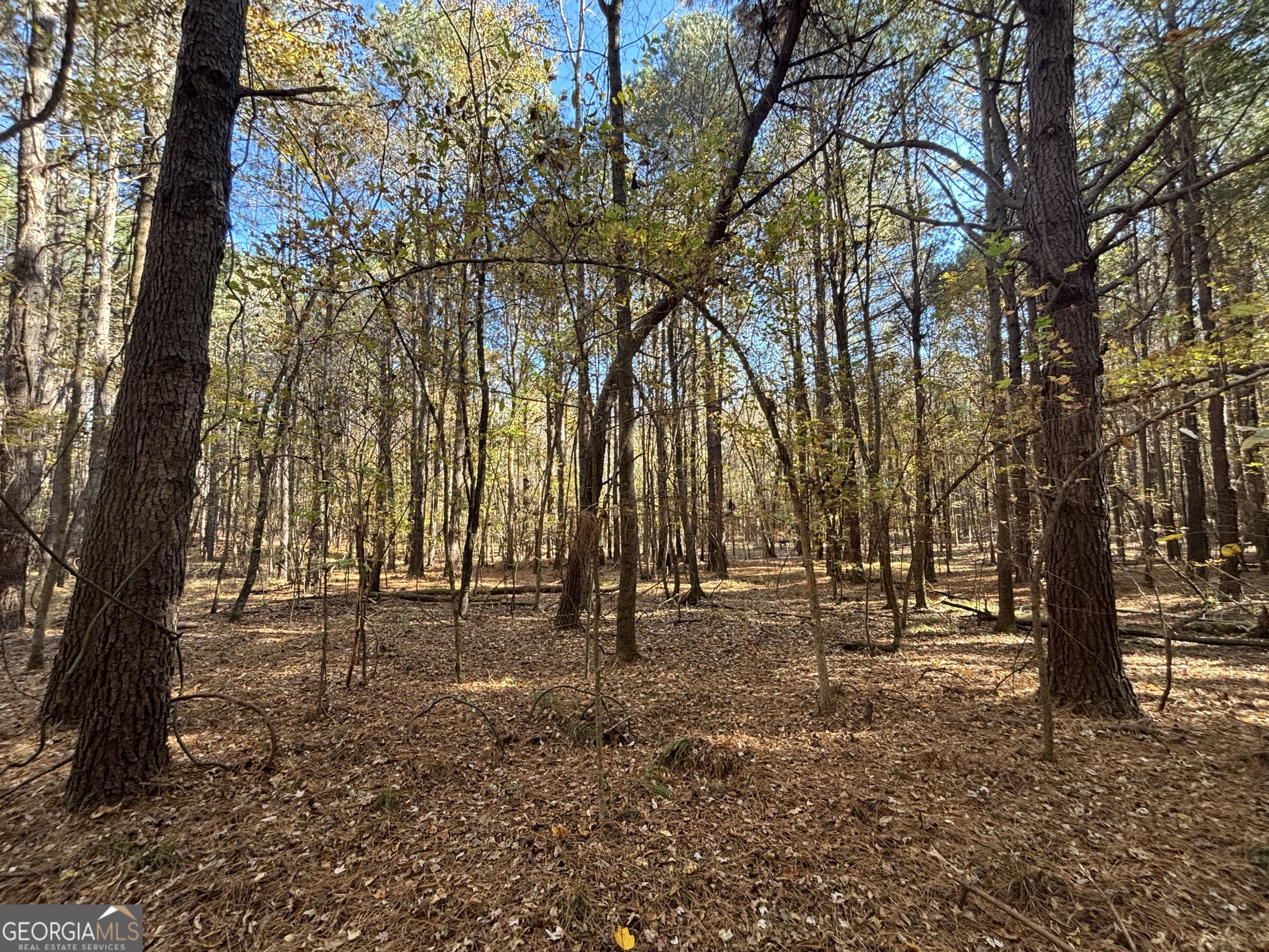 0 Heidi Trail Buckhead, GA 30625 - Photo 17 of 21 a view of outdoor space with trees