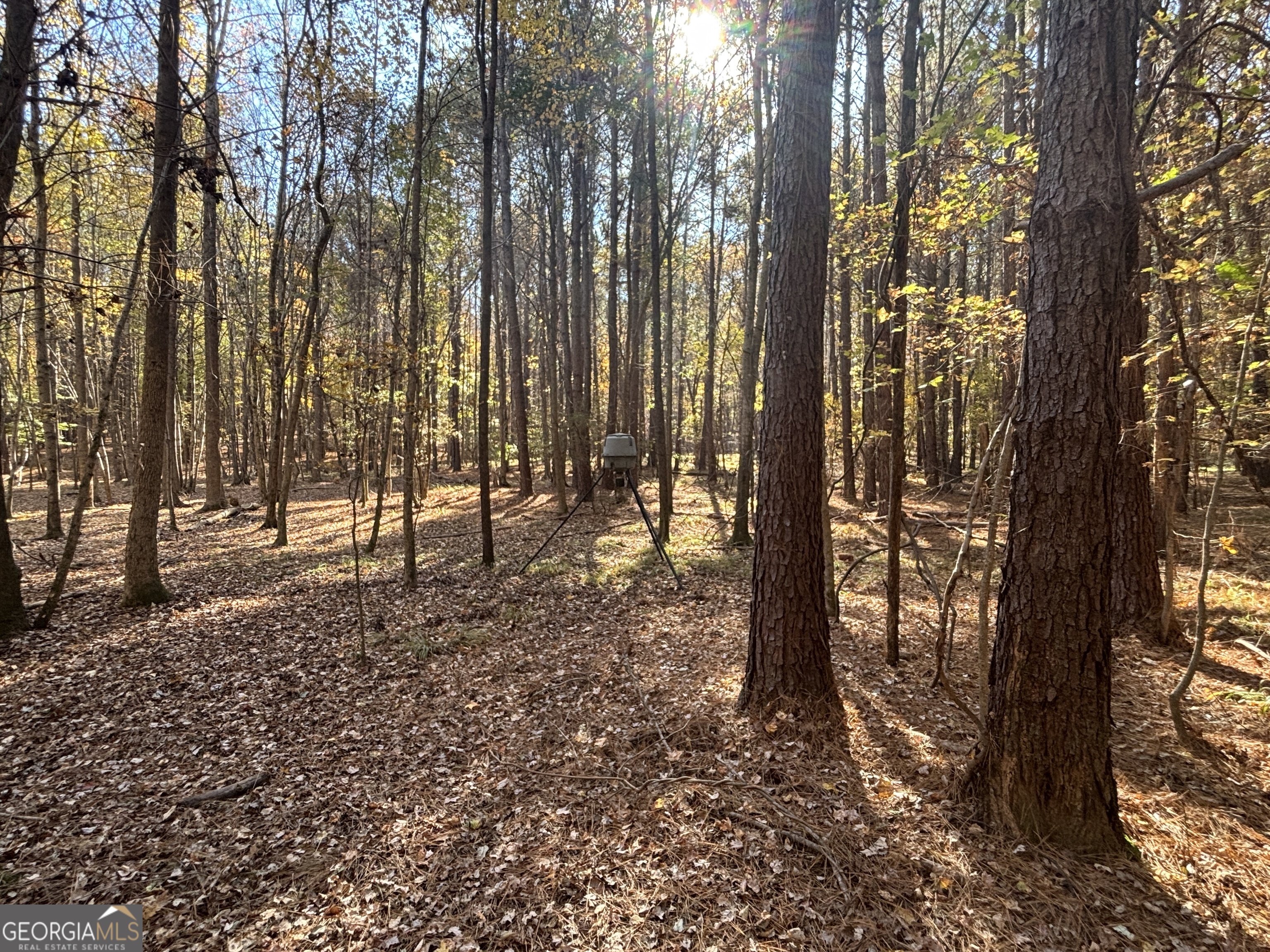 0 Heidi Trail Buckhead, GA 30625 - Photo 18 of 21 a view of outdoor space with lots of trees