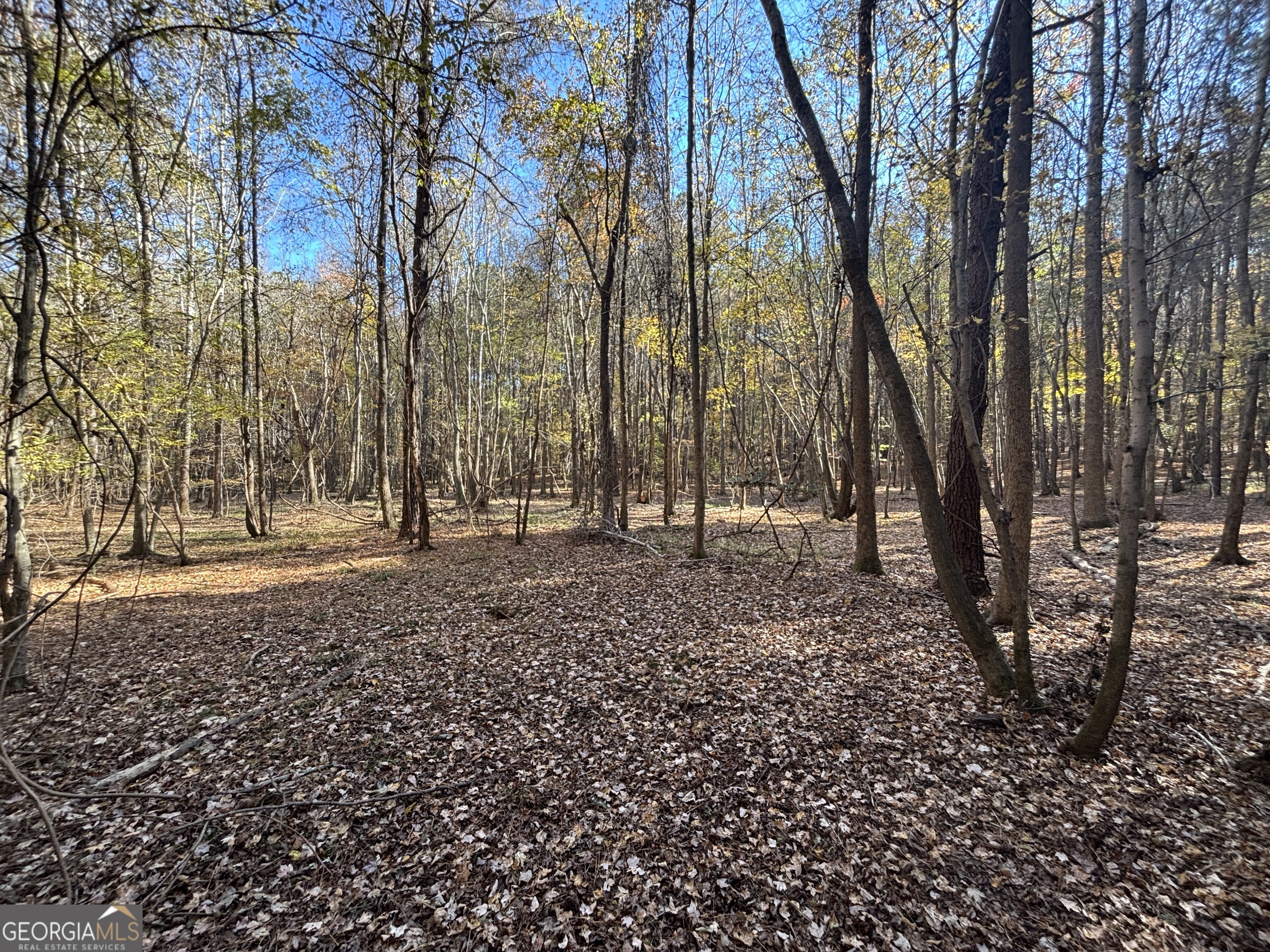 0 Heidi Trail Buckhead, GA 30625 - Photo 19 of 21 a view of house with trees all around