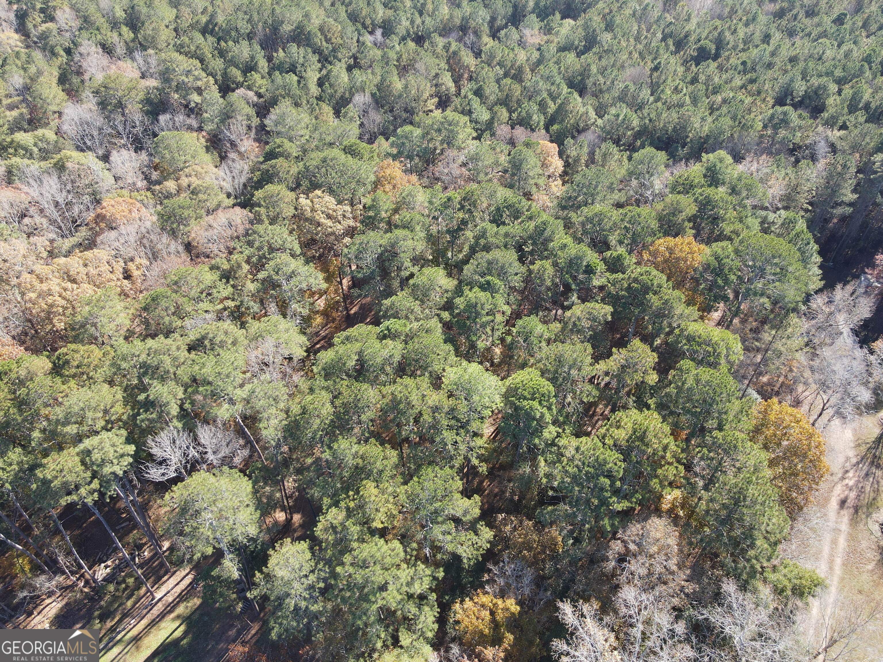 0 Heidi Trail Buckhead, GA 30625 - Photo 3 of 21 a view of a field