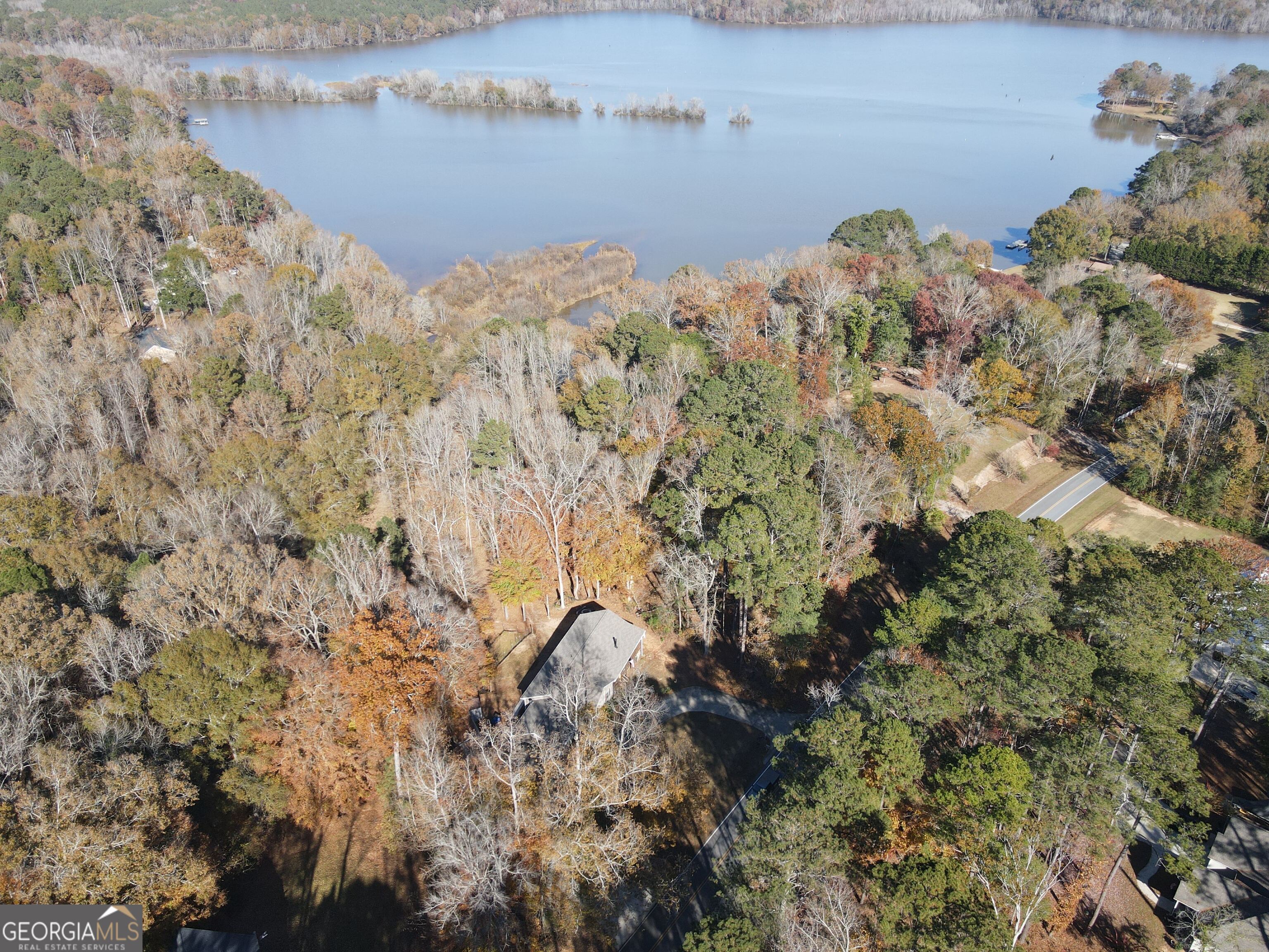 0 Heidi Trail Buckhead, GA 30625 - Photo 4 of 21 a view of a lake with a forest