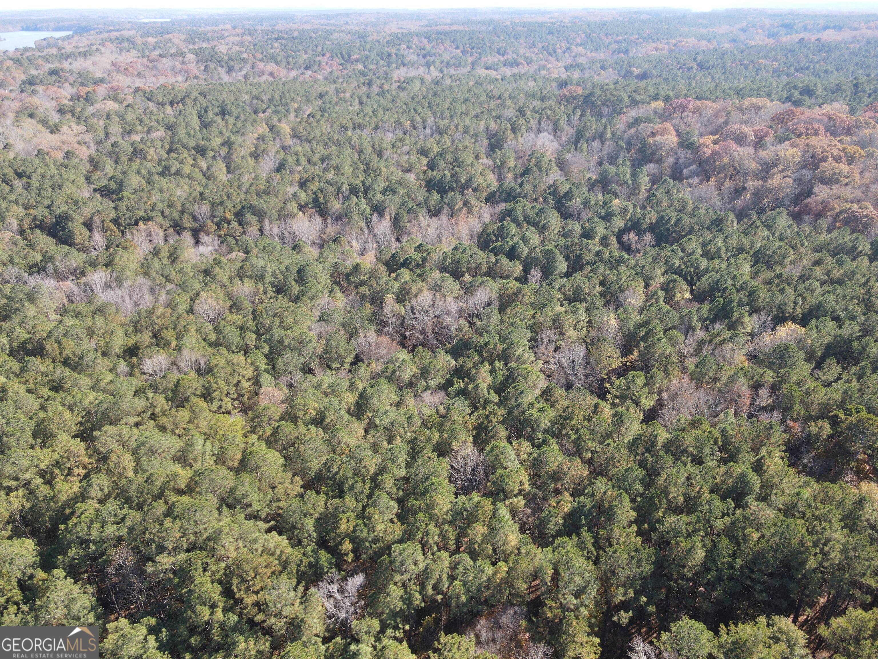 0 Heidi Trail Buckhead, GA 30625 - Photo 5 of 21 an aerial view of forest