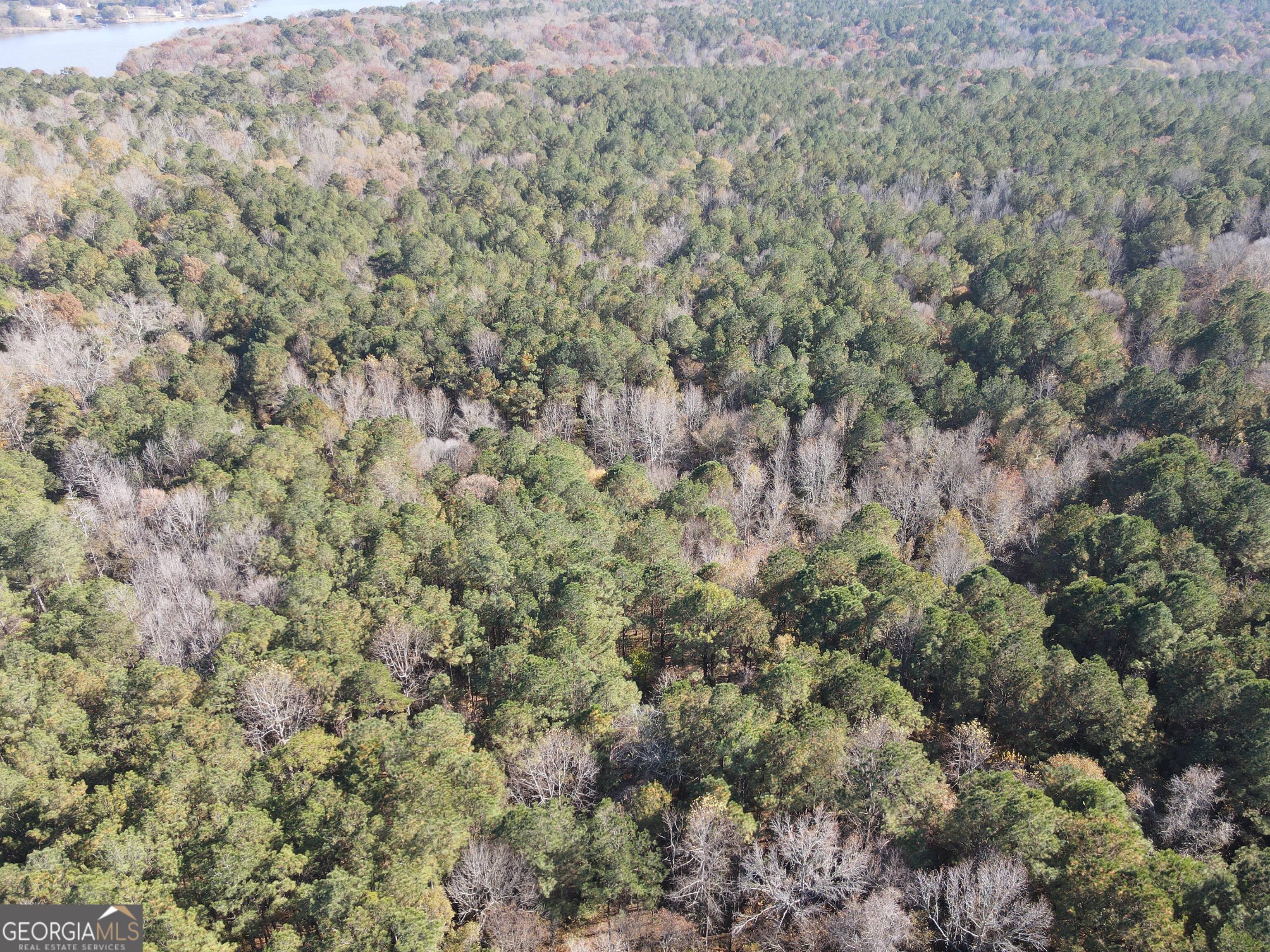 0 Heidi Trail Buckhead, GA 30625 - Photo 7 of 21 a view of a field