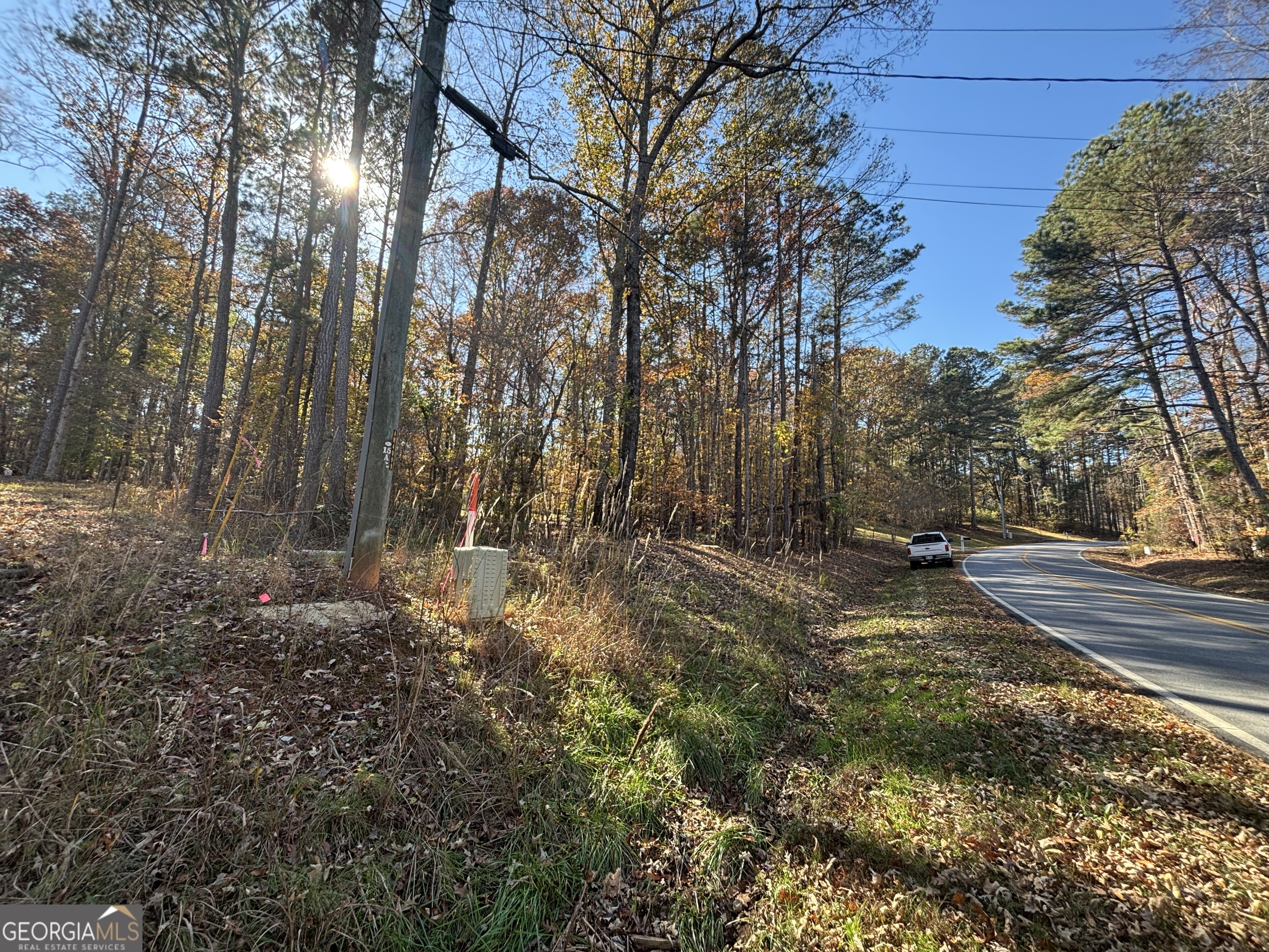 0 Heidi Trail Buckhead, GA 30625 - Photo 9 of 21 a view of a yard with plants and trees