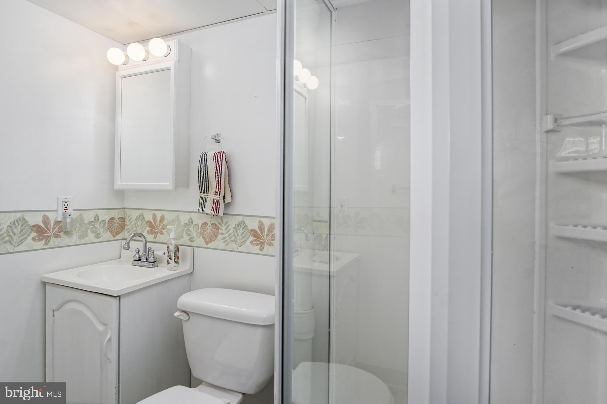 1082 Downton Road Baltimore, MD 21227 - Photo 20 of 26 Lower Level Full Bath