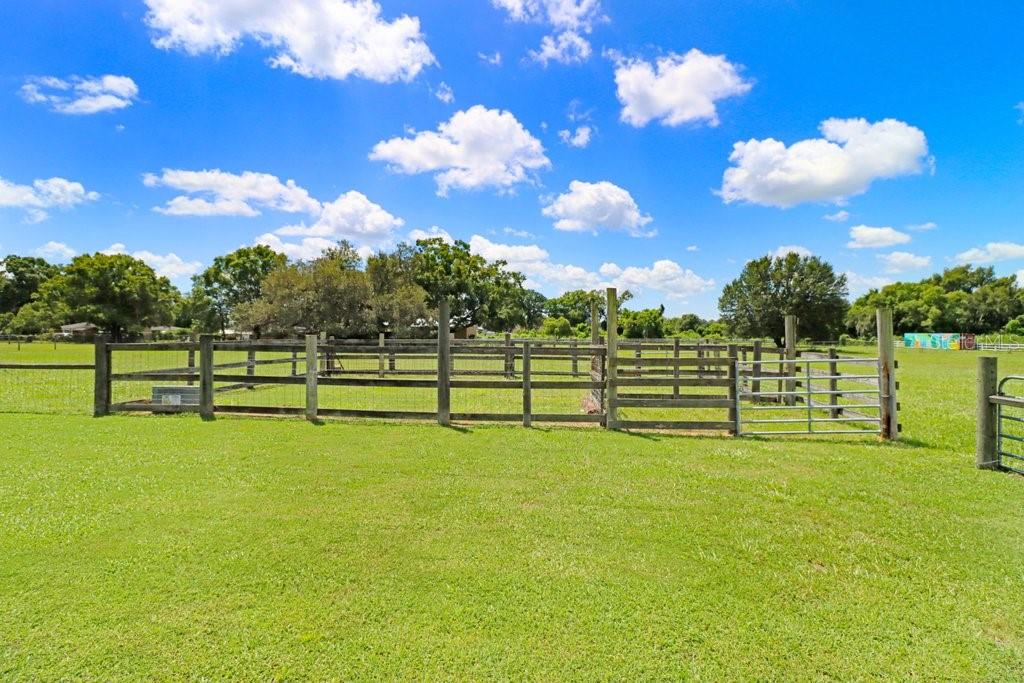 13221 Tom Gallagher Road Dover, FL 33527 - Photo 70 of 80 Gallery Image 70