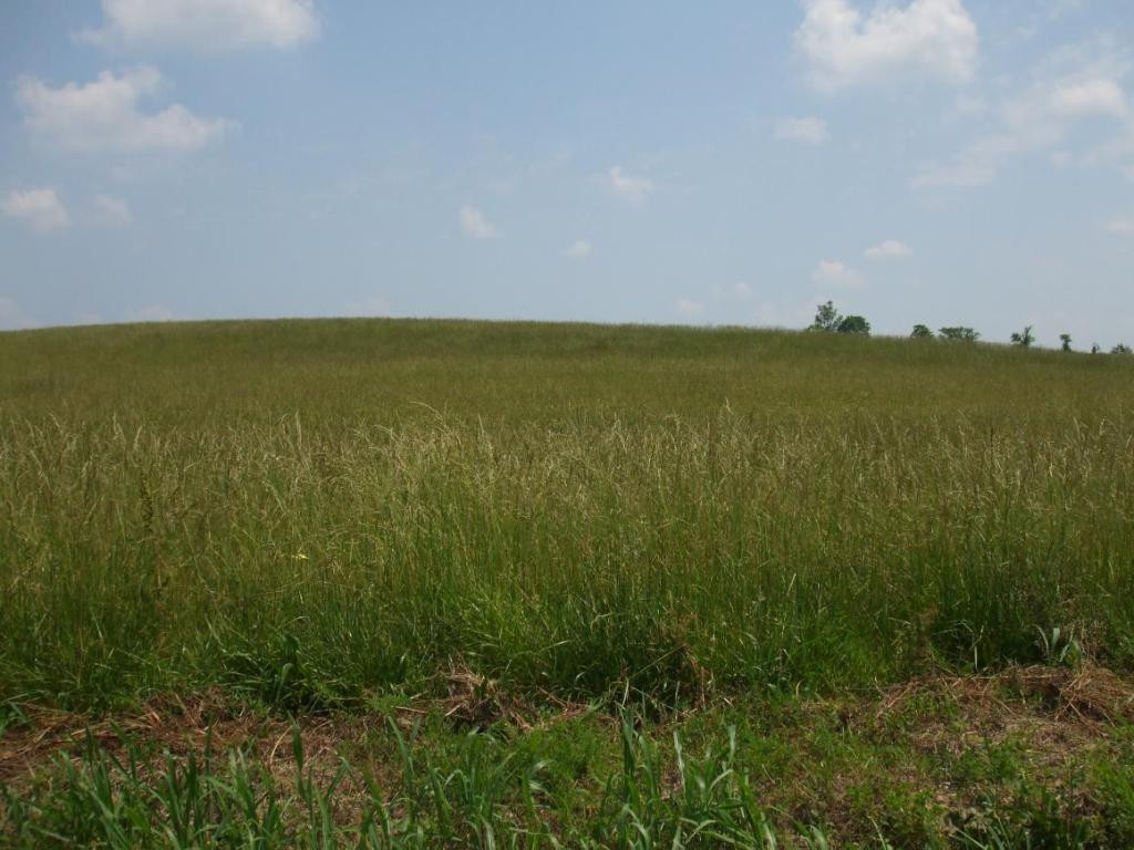 Tbd Old Snapps Ferry Road, Unit 20 Chuckey, TN 37641 - Photo 1 of 1 Photo 1
