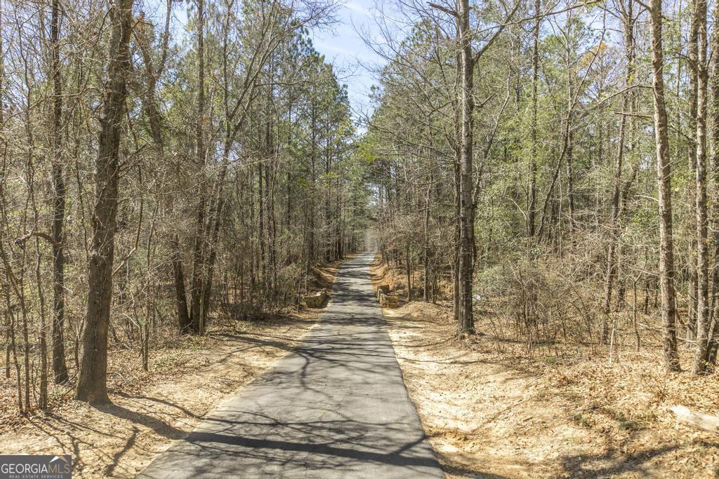 246 Wilville Road Fort Valley, GA 31030 - Photo 3 of 55