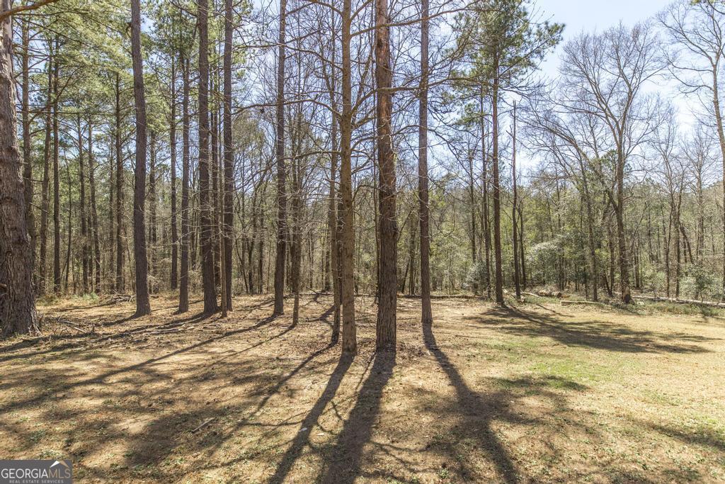 246 Wilville Road Fort Valley, GA 31030 - Photo 43 of 55