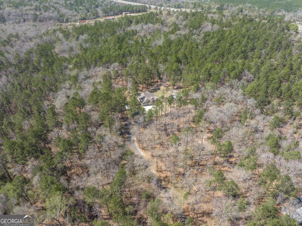 246 Wilville Road Fort Valley, GA 31030 - Photo 54 of 55