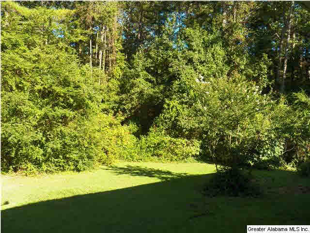 273 Danview Road Jacksonville, AL 36265 - Photo 15 of 25