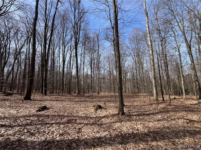 $189,900 | 1292 Halls Corners Road, Attica, NY 14011