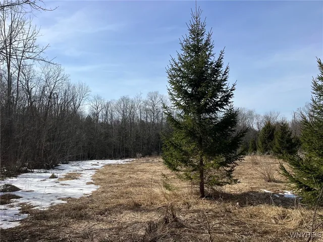 $189,900 | 1292 Halls Corners Road, Attica, NY 14011