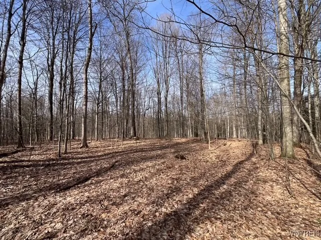 $189,900 | 1292 Halls Corners Road, Attica, NY 14011