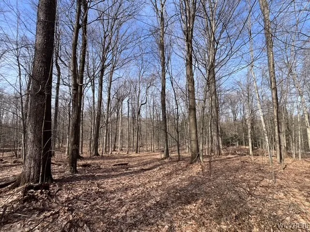 $189,900 | 1292 Halls Corners Road, Attica, NY 14011