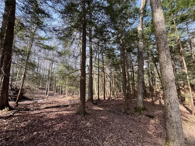 $189,900 | 1292 Halls Corners Road, Attica, NY 14011