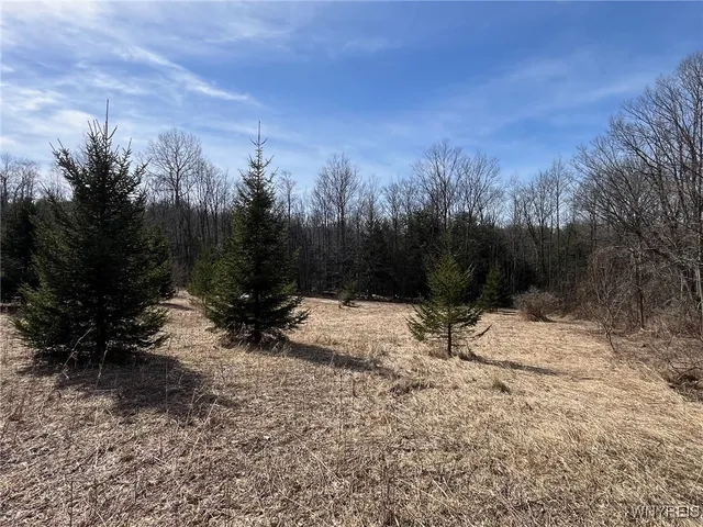 $189,900 | 1292 Halls Corners Road, Attica, NY 14011