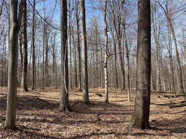 $189,900 | 1292 Halls Corners Road, Attica, NY 14011