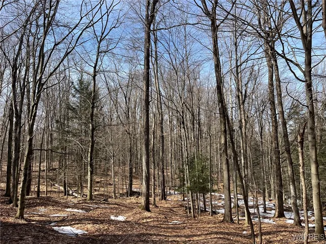 $189,900 | 1292 Halls Corners Road, Attica, NY 14011