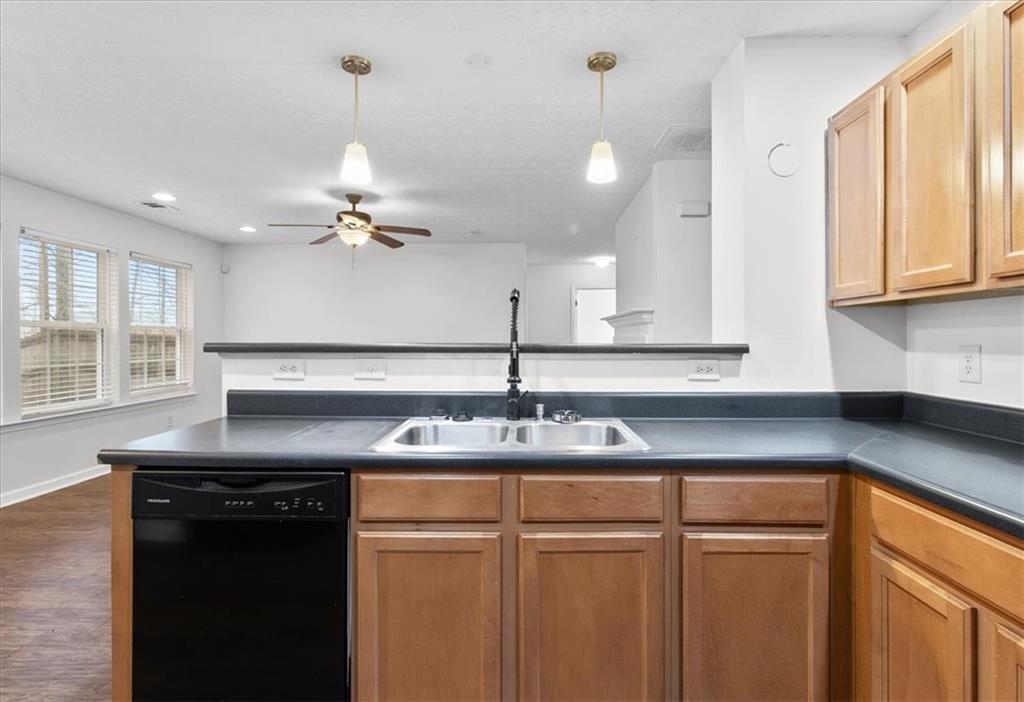 307 Meadows Lane Canton, GA 30114 - Photo 10 of 33 a kitchen with a sink a counter space cabinets and appliances