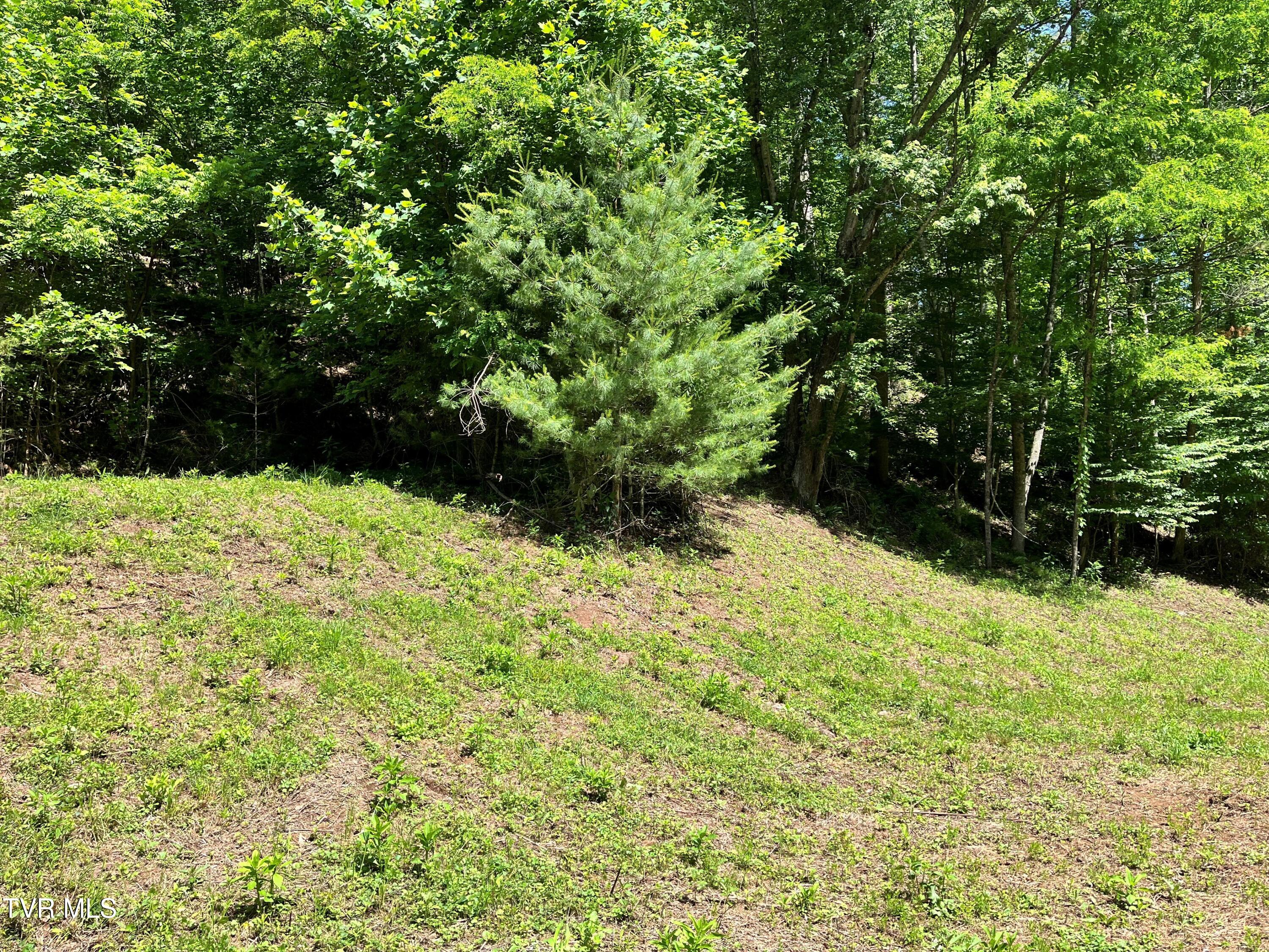 Tr1 Smith Hollow Road, Unit 1 3 3A 4 Butler, TN 37640 - Photo 12 of 37 jh3