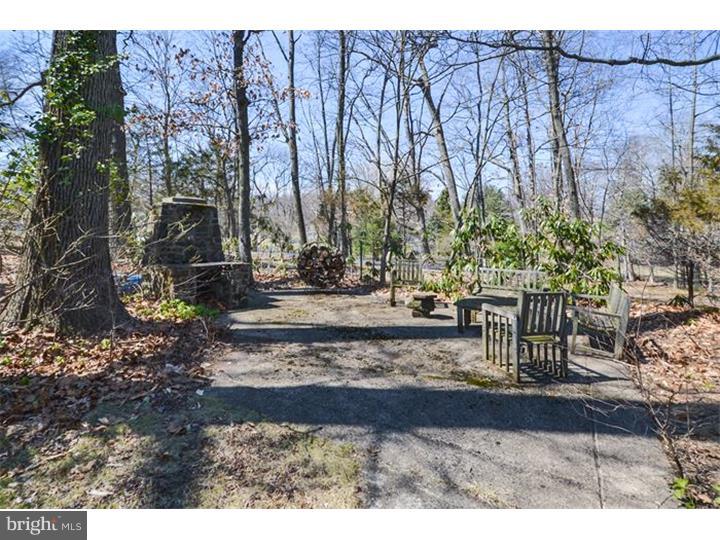 960 Pebble Hill Road Doylestown, PA 18901 - Photo 17 of 18 Back Yard