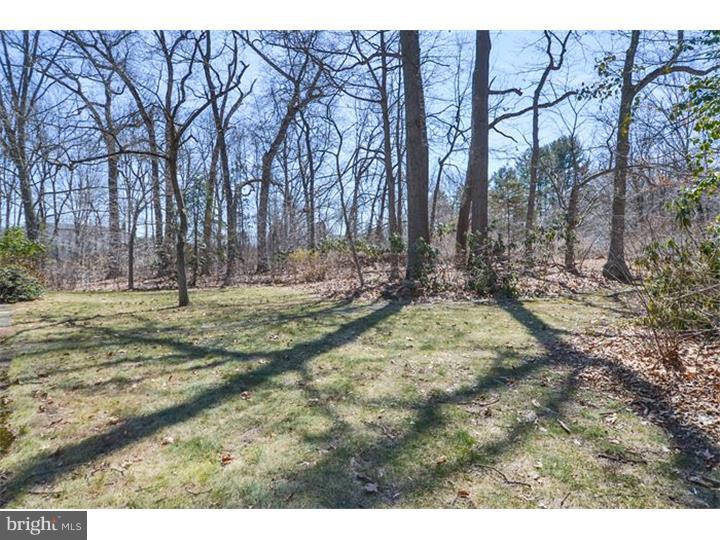 960 Pebble Hill Road Doylestown, PA 18901 - Photo 18 of 18 Back Yard